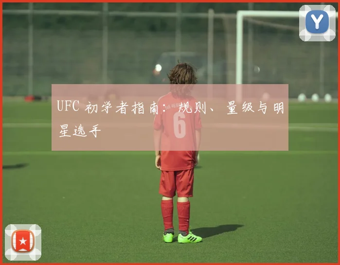 UFC 初学者指南：规则、量级与明星选手