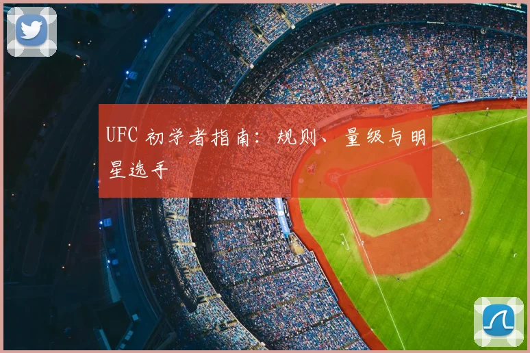 UFC 初学者指南:规则、量级与明星选手